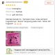 Hogasan Testimoni